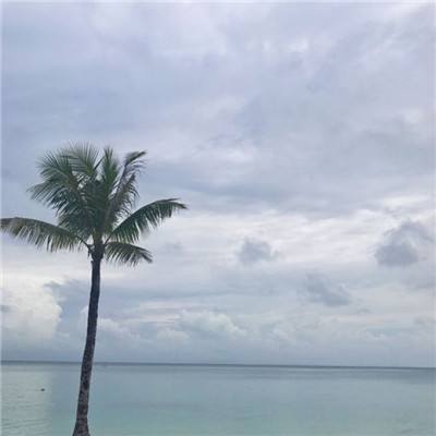 B体育手机版在线app下载